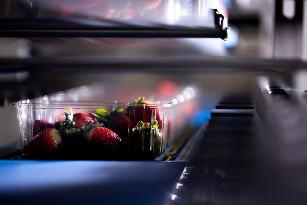 Erdbeeren in einer Kunststoffschale auf dem Förderband einer automatisierten Verpackungsanlage