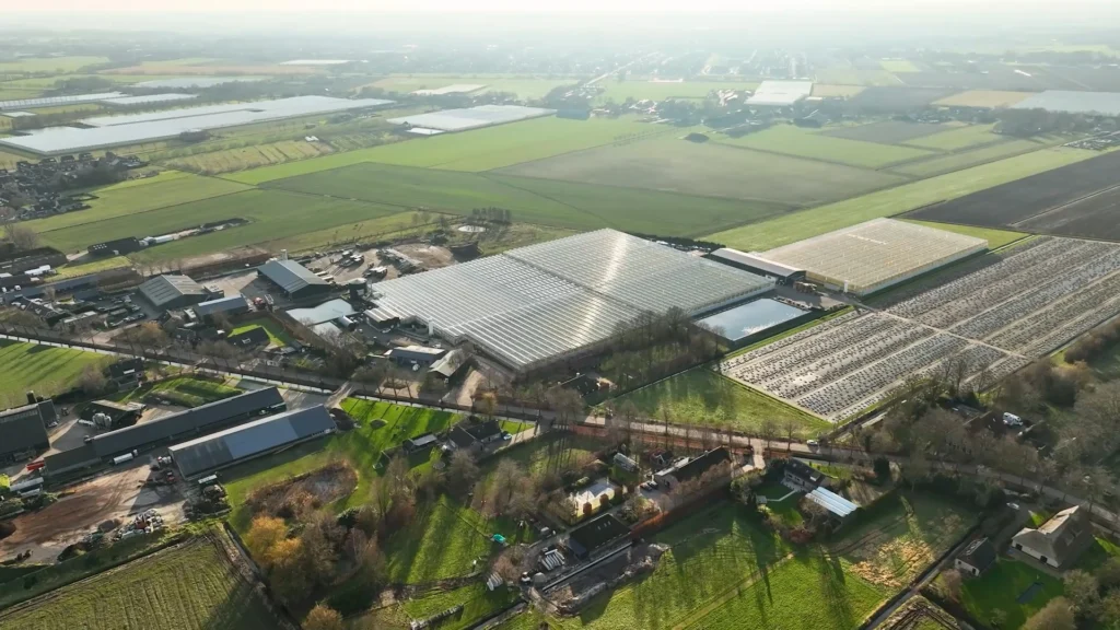 Luftaufnahme eines großen Gewächshausbetriebs mit umliegenden Feldern und landwirtschaftlichen Flächen